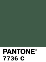 kolor Pantone 7736c